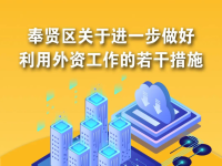 奉賢區(qū)關(guān)于進(jìn)一步做好利用外資工作的若干措施