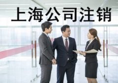 上海奉賢經(jīng)濟(jì)園區(qū)-專家全程辦理公司注銷流程