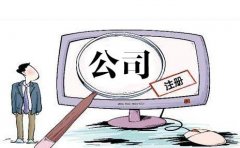 上海注冊(cè)分公司需要哪些事項(xiàng)?-上海奉賢經(jīng)濟(jì)園區(qū)招商，注冊(cè)公司！