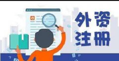 注冊專家王老師解答什么是外資企業(yè)？-上海奉賢經(jīng)濟園區(qū)，優(yōu)惠注冊公司??！