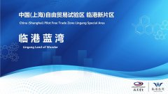 中國（上海）自貿(mào)新片區(qū)-臨港藍(lán)灣，注冊落戶易居易業(yè)！